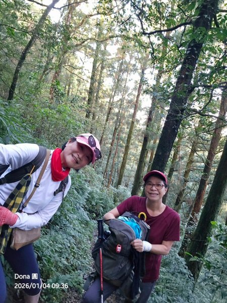 20260104源茂山.源茂山西峰.和尚髻山O走+親水觀魚步道2977699