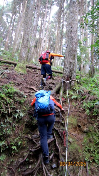 【油羅山/露營】 仙境舒活健走，雲端徜徉野趣！2887909