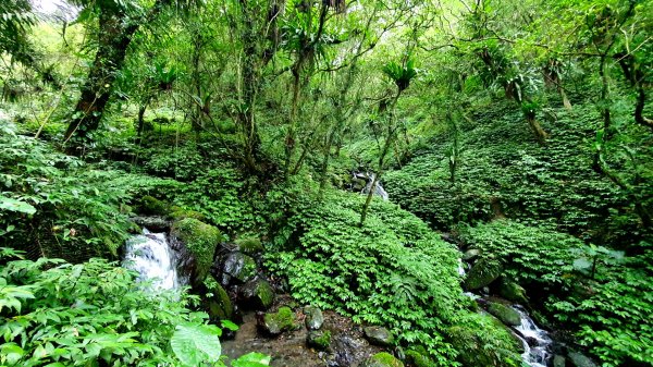 抹茶山，聖母登山步道，隆隆山，福卯古道，水柳腳登山步道，觀音台步道，北勢溪自行車道1742230