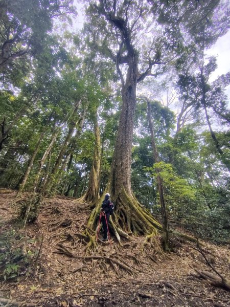 長壽山、肥崠山、醜崠山、大崠山、大崠山經建版2931562