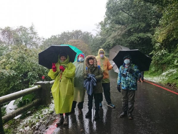 20210108冰封大屯山1232023