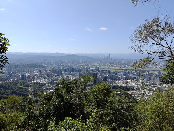 20260315金面山3015564