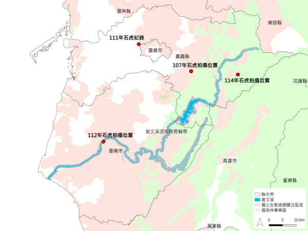 【生態】睽違31年 阿里山發現石虎蹤跡 創嘉南地區最高海拔紀錄