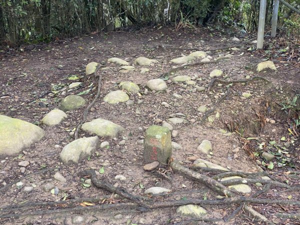 苗栗三義-三員縱走2616455