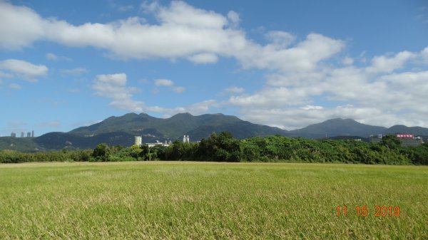 大屯&小觀音主/西&關渡花田補考735919