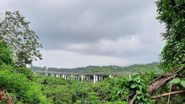 《彰化》西北雨後｜花壇大嶺巷步道群O繞202408242579761