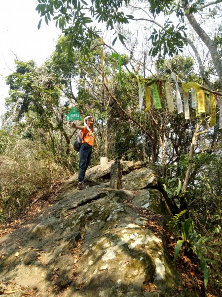 西阿里關山+玉山寶光聖堂花旗木1860823