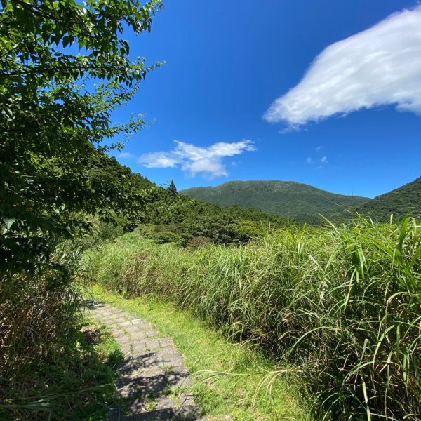 環七星山人車分道-陽金公路段2221392