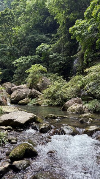 戲水（鴛鴦2786692