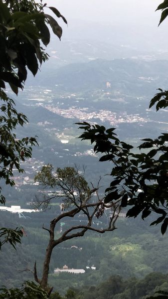 水社大山登山步道 2017 09 15166557