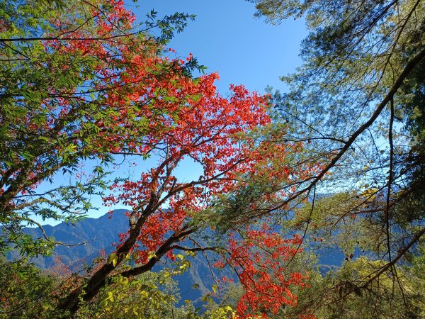 霞喀羅古道1562712