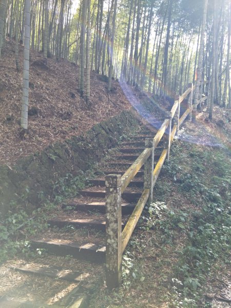 小百岳：石壁山、嘉南雲峰(-九芎神木草櫻花祭)1267622