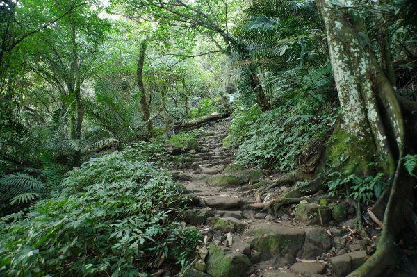 桃園 大溪 新溪洲山、溪洲山、林嵩壽山、內湳溝山、頭寮山3006201