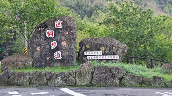 阿里山頂湖三連峰:天福山、芙蓉山、凸龜山2810076