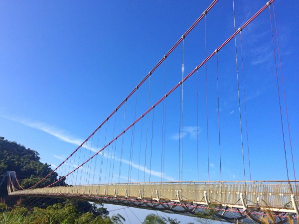 太平雲梯、雲之南道步道、紅南坑山、太平老街半日遊457851