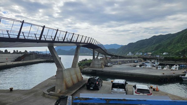 20250731望海巷-深澳漁港天空步道-水豚君(象鼻岩斷掉)2850974