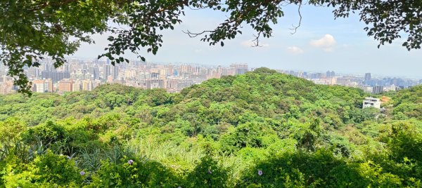 虎頭山環保公園3094267