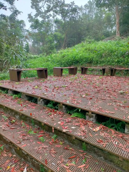 石硦林場、桶頭山O形3052330