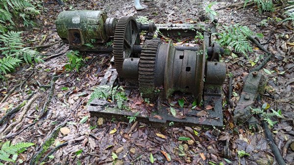 楊廷理古道2814589