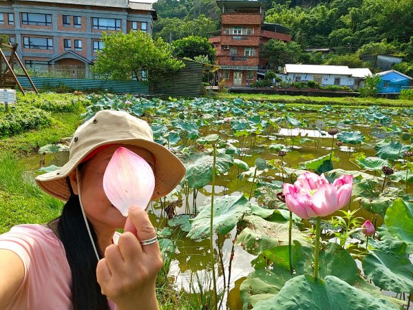 月眉坑瀑布步道.卯澳.雙柑公路2224823
