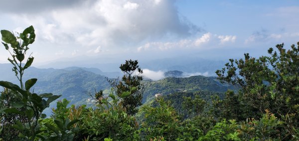 2020-07-11二格山(栳寮線)1384719