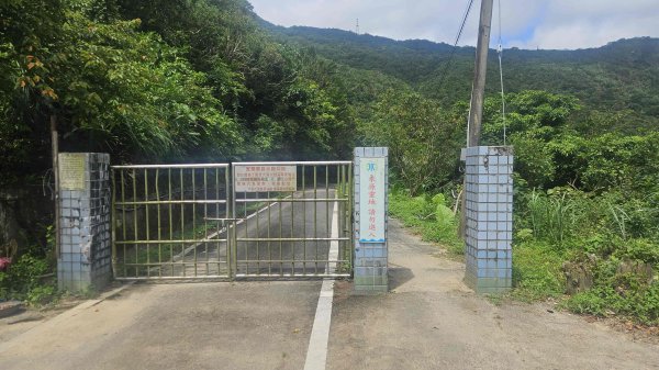 20250620大溪川古道-草嶺古道大溪段2821319