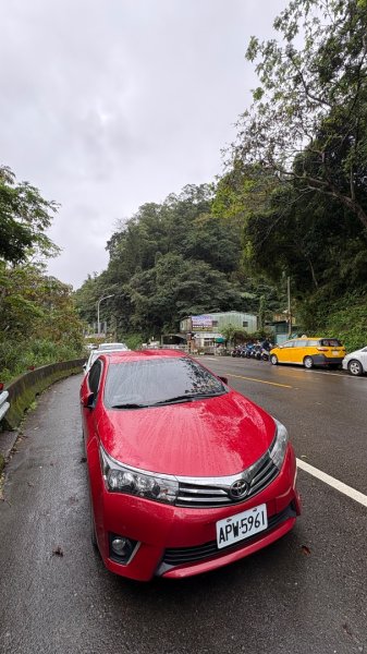 迎新（2026元旦2975549