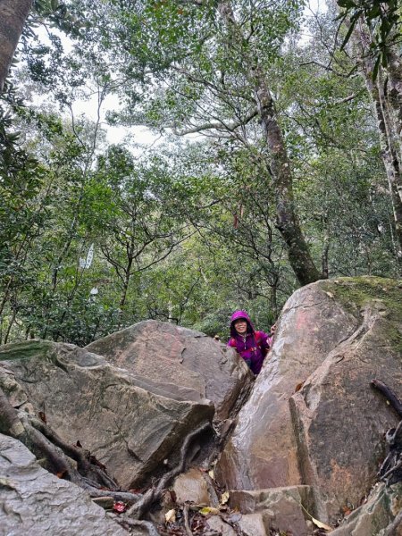 北得拉曼-20204062859897