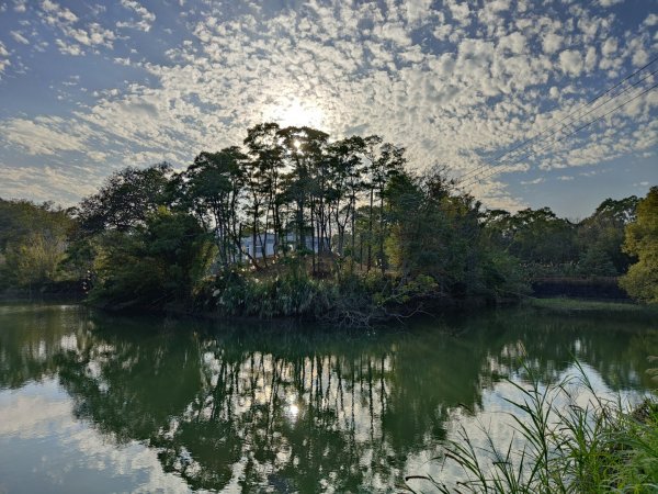 2024.01.07 橫山三叉埤、墩子銃古道2843819