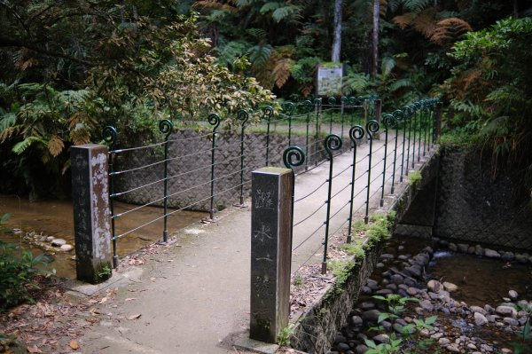 澀水森林步道2097950