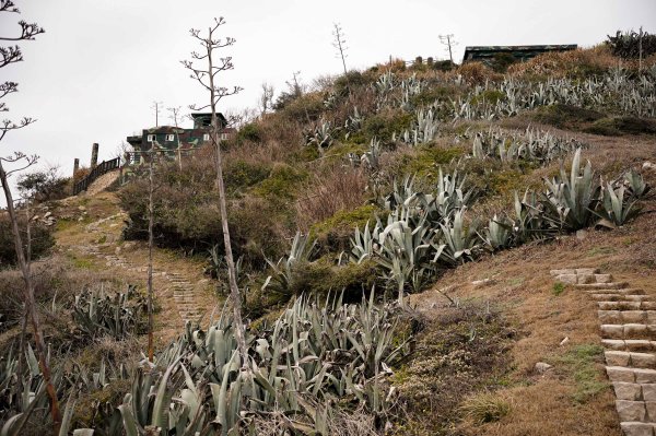 馬祖北竿螺蚌山步道2698739
