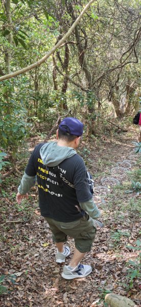 2026-0315 桃園虎頭山3015940