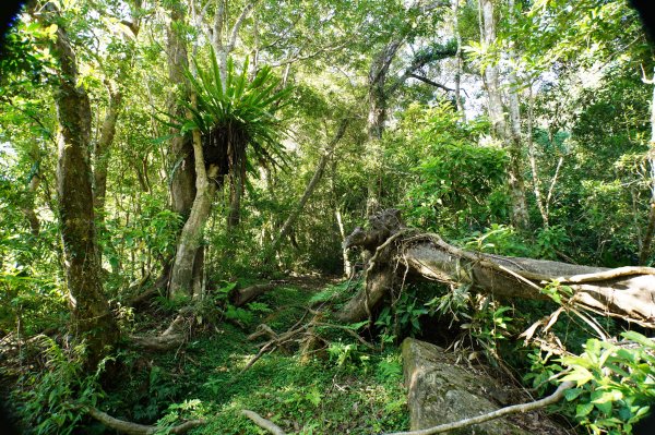 宜蘭 南澳 御恩山2892658