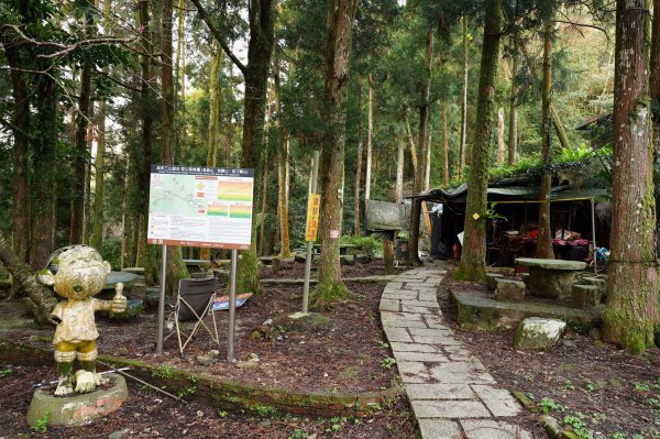 新北 烏來 美鹿山、高腰山、拔刀爾山、小巫山2703477