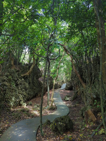 2024.06.09－墾丁國家公園2523862