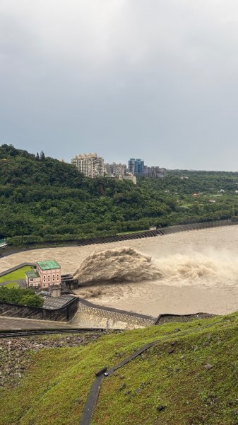 颱風假封面