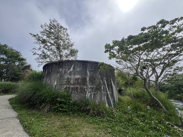 ~  塔  曼  山  ~2782762