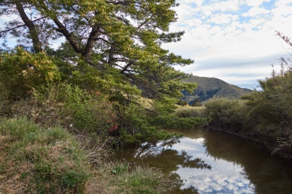 合歡北峰百岳點名(由松雪樓步行至北峰登山口)1385929