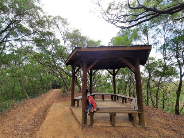 《台中》大肚環保公園登山步道、望高寮賞景1055275