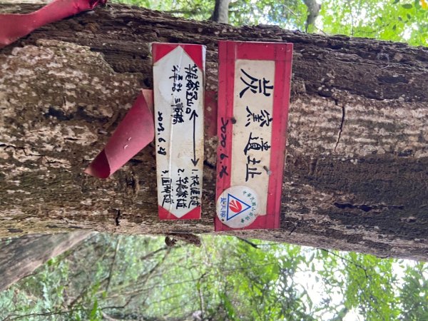 2025/09/07 大屯溪古道2926716