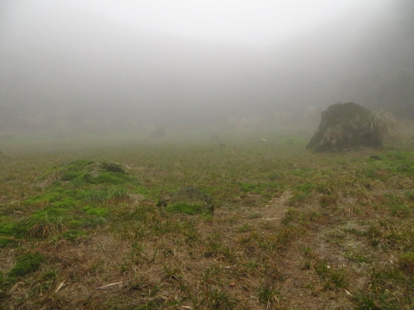 雲霧中遊走七星山之美33423