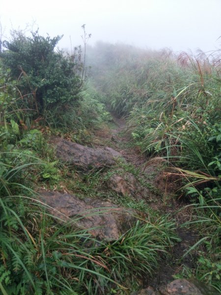 燦光寮登山步道+無緣之墓登山步道(貂山古道1519411