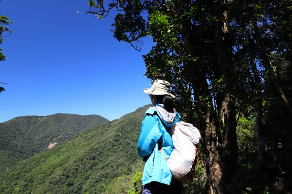 阿里山三霞 -- 楠梓仙溪左岸 南霞山1490231