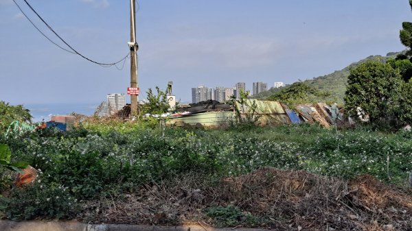 台北大縱走第一段1249069