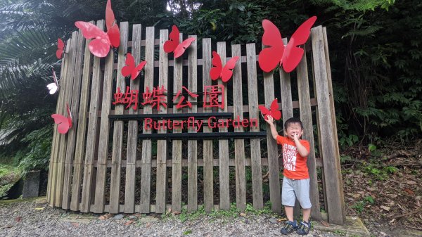 蝴蝶公園-大羅蘭溪古圳步道2551189