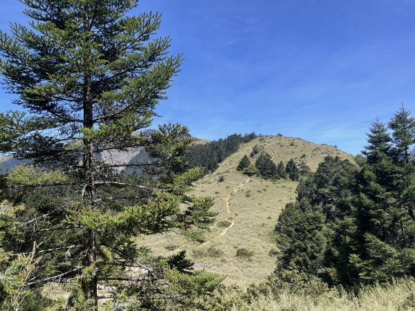 合歡北、西峰(三訪)113.04.212492805