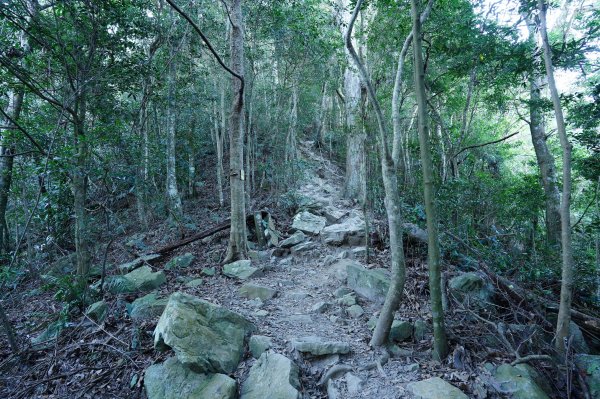 臺中 和平 白毛山、次郎山2670924