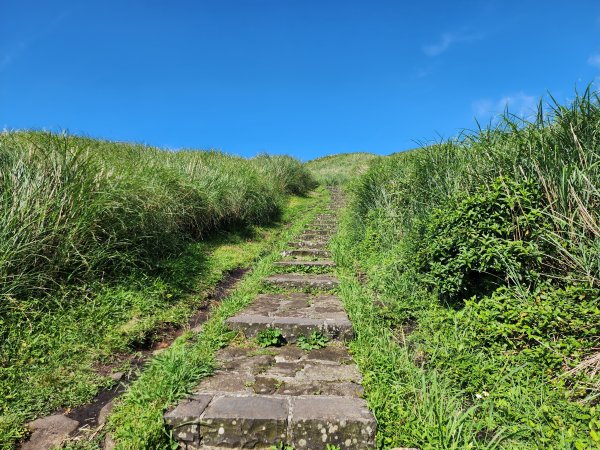 小百岳No.2⛰七星山主峰×七星山東峰2396349