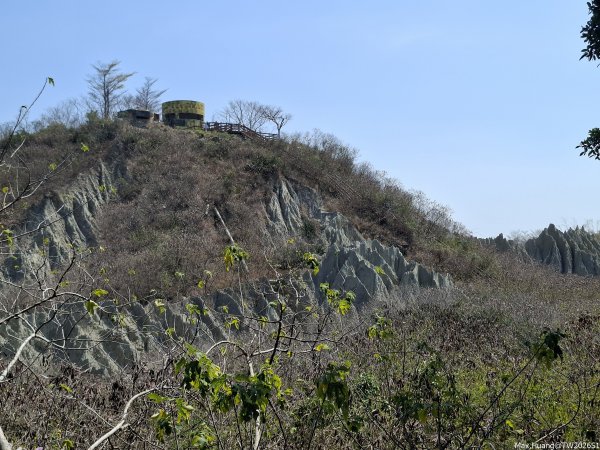 《高雄》泥岩惡地｜漯底山自然公園大O繞順訪永安、茄萣濕地202603133014679