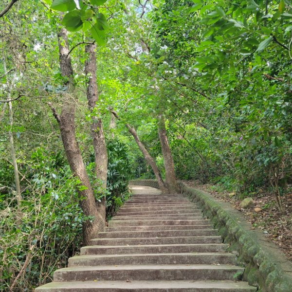 鳳崎落日步道2526581